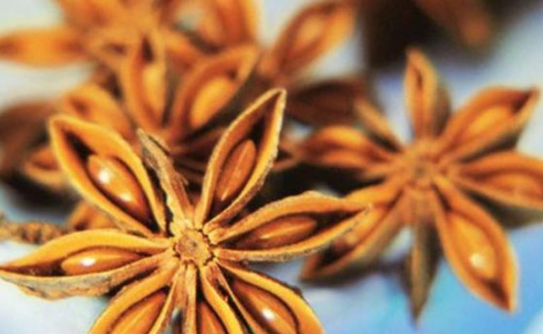 Bumbu Masakan Khas Aceh : Mengenal Dapur Aceh