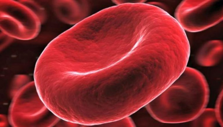 Sel Darah Merah, Sel Darah Putih dan Keping Darah